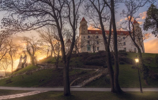 Bratislava Castle Bratislavsky Hrad Trees Sunset Main Castle Capital City — Stock Photo, Image