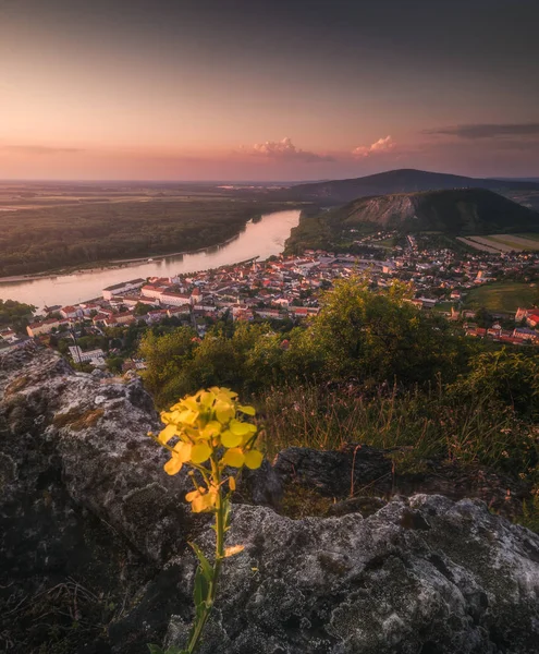 Över Liten Stad Hainburg Der Donau Med Donau Som Sett — Stockfoto