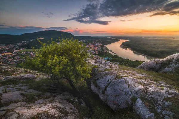 从岩石 Braunsberg Hainburg 的小城 Donau 和多瑙河上的一棵树在美丽的夕阳下 — 图库照片