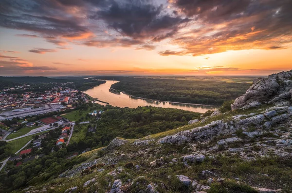 Vista Pequeña Ciudad Hainburg Der Donau Con Río Danubio Visto — Foto de Stock