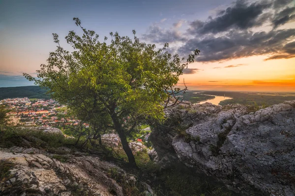 Hainburg Der Donau Seen Bir Ağaç Güzel Gün Batımı Rocky — Stok fotoğraf