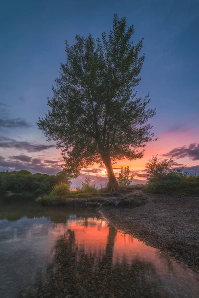Piękne Krzaczaste Drzewo Brzegu Żwir Jezioro Kolorowy Zachód Słońca — Zdjęcie stockowe