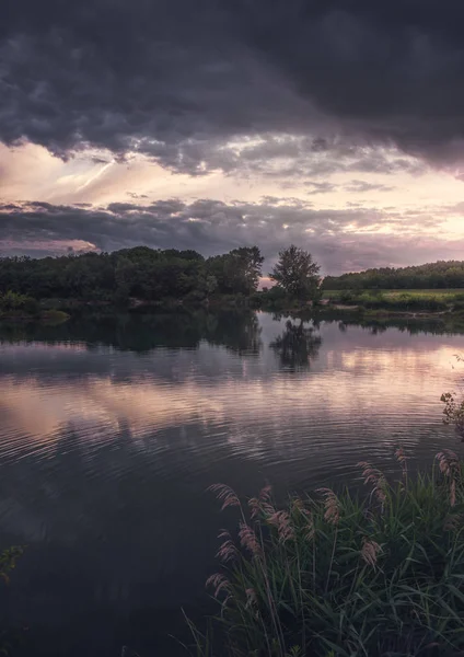 Cielo Dramático Puesta Sol Sobre Lago Con Plantas Primer Plano —  Fotos de Stock