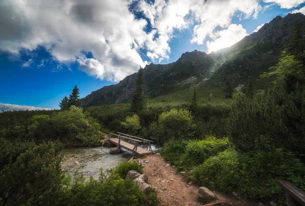 Hiking Trail Wooden Bridge Creek Mountain Peaks Bright Sunshine — Stock Photo, Image