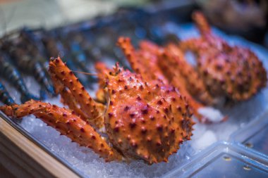 Kızıl Kral Yengeç