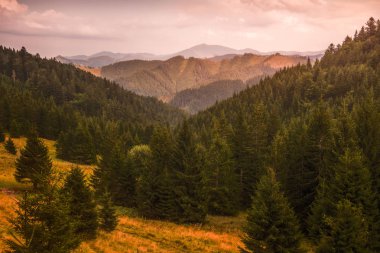 gün batımında sonbahar manzarası