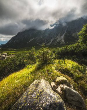 Bitkiler ve Kaya ile Güneşli Dağ Manzara