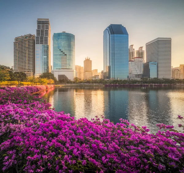 Sjö med lila blommor i stadsparken under skyskrapor på Sunri — Stockfoto