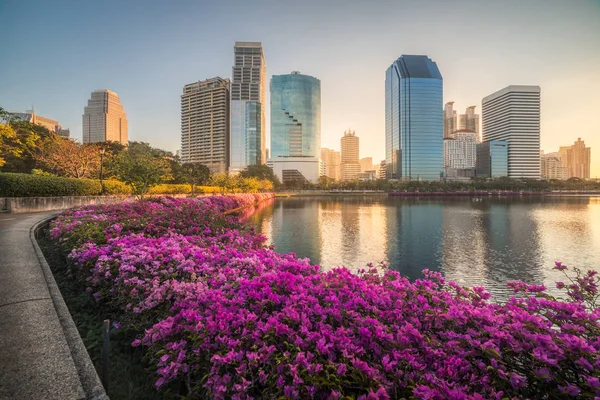 Sjö med lila blommor i stadsparken under skyskrapor på Sunri — Stockfoto