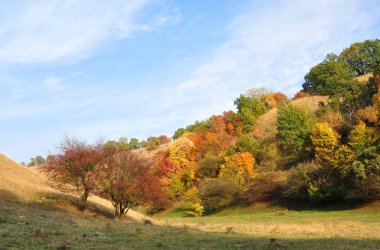 Doğa sanatı. Banat Deliblato Sands Dunes, Voyvodina, Sırbistan. Deliblato Sands kapsamı yaklaşık 300 km kapsayan büyük bir kum alanıdır. Güney Banat'ta, Tuna Nehri'nin yakınında yer alır. Sonbaharın Renkleri.
