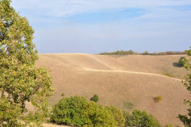 Doğa sanatı. Banat Deliblato Sands Dunes, Voyvodina, Sırbistan. Deliblato Sands kapsamı yaklaşık 300 km kapsayan büyük bir kum alanıdır. Güney Banat'ta, Tuna Nehri'nin yakınında yer alır..