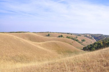 Doğa sanatı. Banat Deliblato Sands Dunes, Voyvodina, Sırbistan. Deliblato Sands kapsamı yaklaşık 300 km kapsayan büyük bir kum alanıdır. Güney Banat'ta, Tuna Nehri'nin yakınında yer alır..