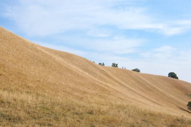 Doğa sanatı. Sırbistan 'ın Voyvodina eyaletinin Banat kentindeki Deliblato Sands kentindeki kum tepeleri. İki kişi bir kum tepesi boyunca yürüyorlar..