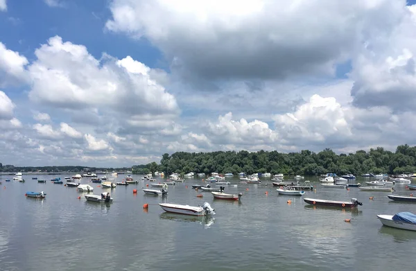 Μαρίνα Zemun Στον Ποταμό Δούναβη Μεταξύ Της Ακτής Και Της — Φωτογραφία Αρχείου