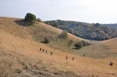 Doğa sanatı. Sırbistan 'ın Voyvodina eyaletinin Banat kentindeki Deliblato Sands kentindeki kum tepeleri. Bir grup insan kum tepelerinden birine tırmanmaya hazırlanıyor..