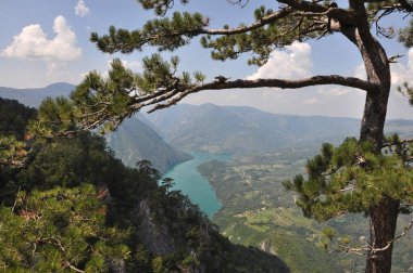 Sırbistan 'ın batısındaki Tara Dağı Ulusal Parkı' ndaki Kozja stena 'dan Drina Nehri' ne bakın.