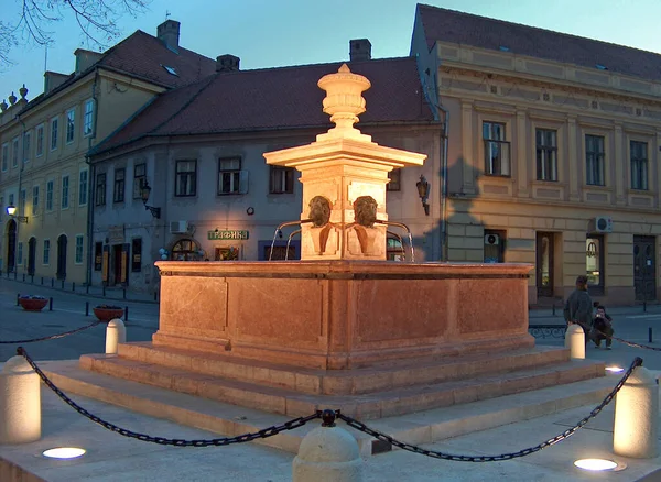 Night View Fountain Four Lions Sremski Karlovci Town Municipality Located — Stock Photo, Image