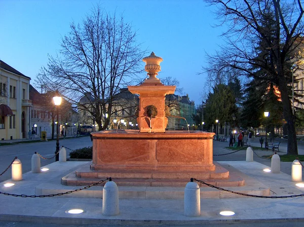 Fontein Four Lions Sremski Karlovci Servisch Cyrillisch Een Gemeente Het — Stockfoto