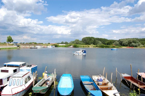 Donau Sideelv Byen Kovin Regionen South Banat Vojvodina Serbia – stockfoto