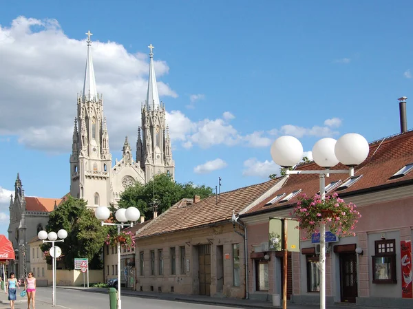Cidade Vrsac Sérvia Catedral Católica Saint Gerhard Século Xix Construída Fotos De Bancos De Imagens Sem Royalties