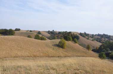 Doğa sanatı. Banat, Voyvodina ve Sırbistan 'daki Deliblato Kumları.