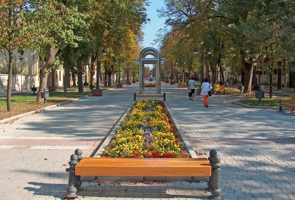 Fußgängerzone Der Hauptstraße Von Apatin Stadt Der Region Backa Vojvodina — Stockfoto