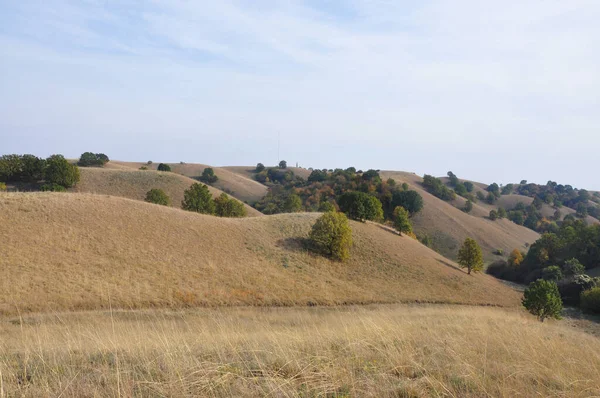 Arte Natureza Dunas Deliblato Sands Banat Vojvodina Sérvia Fotos De Bancos De Imagens