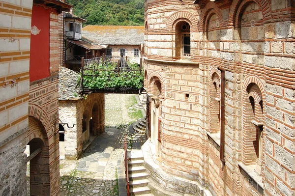 Miraculous Vine Saint Simeon Svatá Hora Athos Řečtině Hagion Oros — Stock fotografie