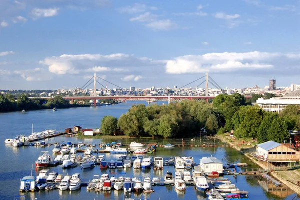 Белград Сербія Марина Річці Сава Вид Новий Залізничний Міст — стокове фото