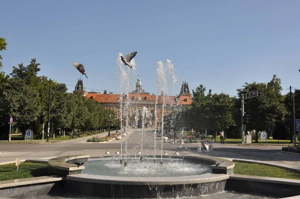 Fontän Med Flygande Duvor Framför Stadshuset Sombor — Stockfoto