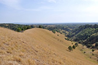 Doğa sanatı. Deliblato Sands 'deki kum tepeleri. Zagajicka brda (Zagajicka tepeleri).