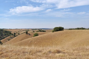 Doğa sanatı. Deliblato Sands 'deki kum tepeleri. Zagajicka brda (Zagajicka tepeleri).