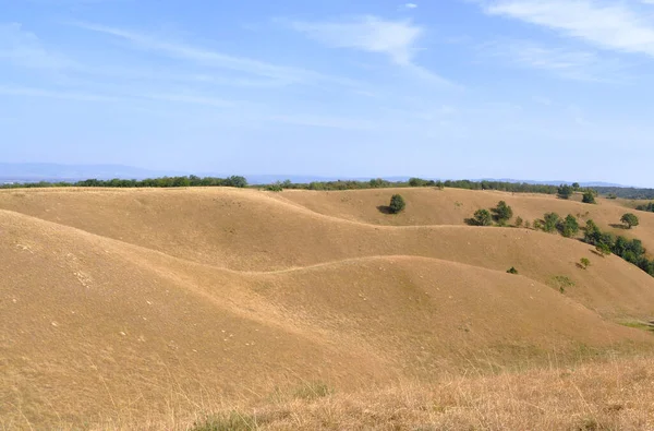 Kunst Van Natuur Duinen Deliblato Sands Zagajicka Brda Heuvels Van — Stockfoto