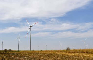 Güney Banat 'ta rüzgar türbinleri. Rüzgar enerjisi kullanan yenilenebilir enerji.