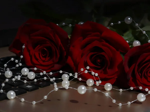 Red Roses White Pearl Laptop Keyboard Dark Photo Vignette Selective — Stock Photo, Image