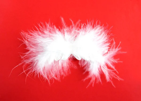 Angel Wings Red Background — Stock Photo, Image