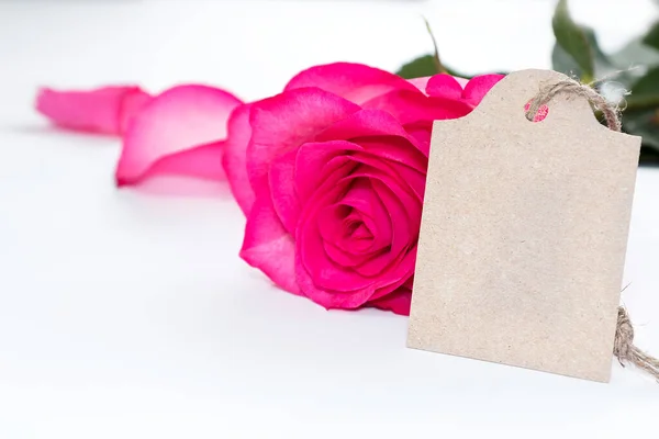Beautiful flowers pink rose and a label for writing congratulations or invitations on a white table. Festive concept with copy space. mock-up, selective focus