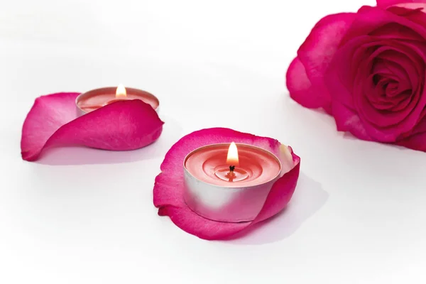 Beautiful Pale Pink Rose Aroma Candles Rose Petal Background Selective Stock Photo