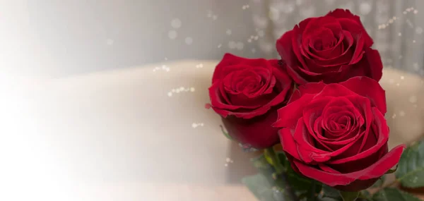 Прапор для флористичної індустрії. Святкова квіткова композиція з червоних троянд . — стокове фото