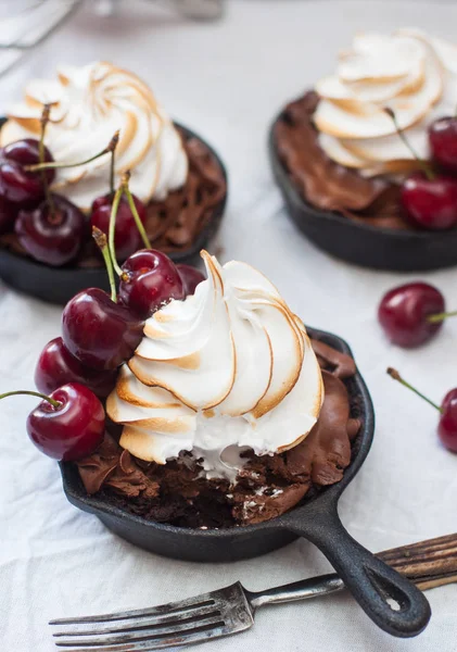 Chocolade Taarten Gebakken Mini Ijzeren Koeken Met Ganache Vulling Zwitserse — Stockfoto