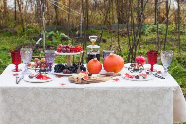 Tahtada peynir tabağı, balkabağı, üzüm, incir, yanan mumlar, renkli bardaklar, şarap şişesi ve kırmızı sonbahar akçaağaç yapraklarıyla dekore edilmiş açık havada duran masa..