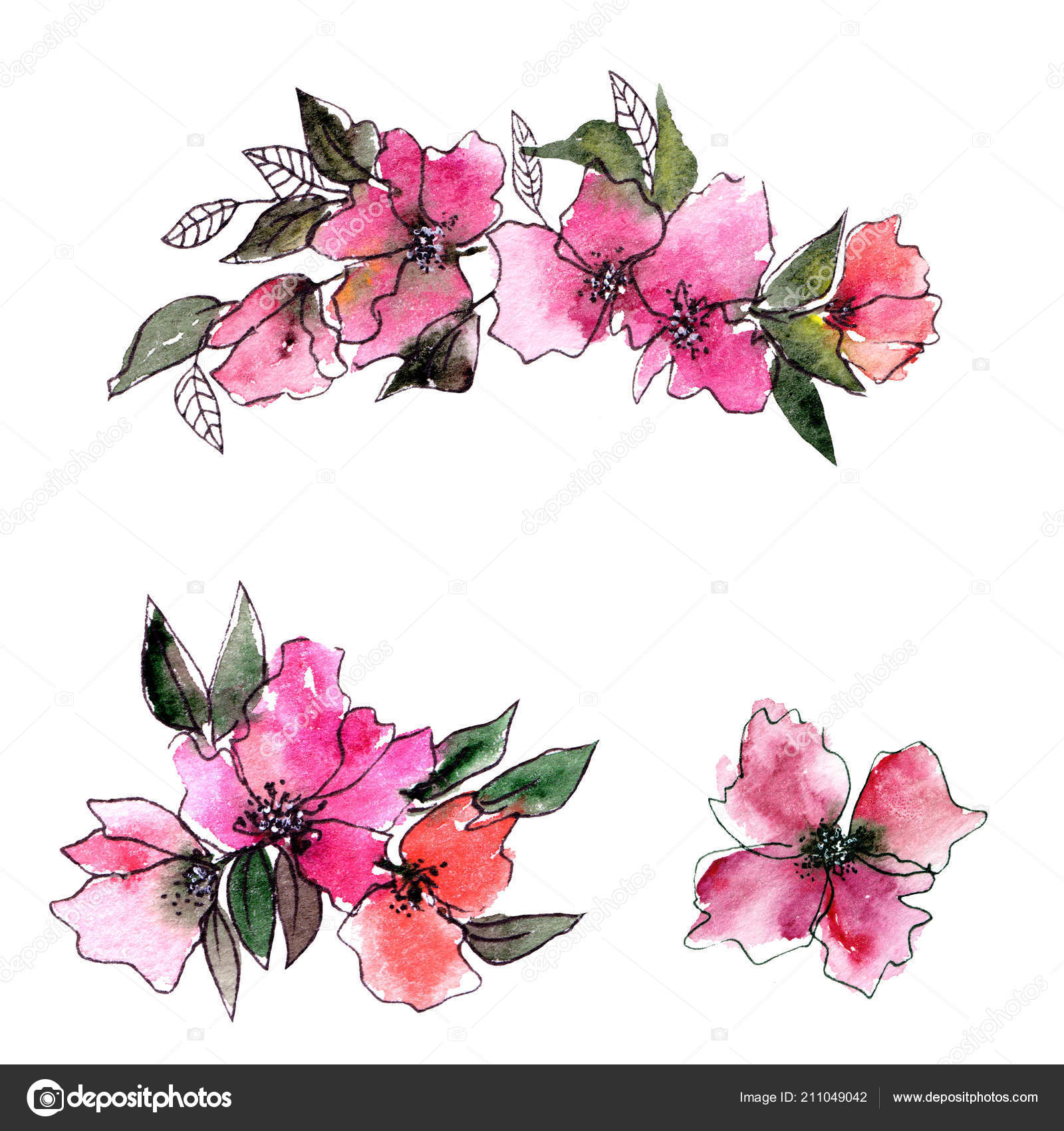 Floral Decorative Elements Watercolor Floral Decor Greeting Card Wedding Invitation Stock Photo C Oaurea 211049042