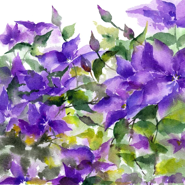 Purple flowers. Watercolor floral background. Floral painting for decor. Greeting card template.