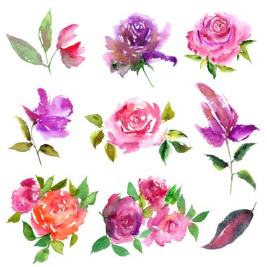 Sulu boya çiçekler. Floral tebrik kartı dekorasyonu için ayarlayın. Çizim çiçek. Romantik çiçek ayarlayın. Çiçek dekoratif elemanlar.