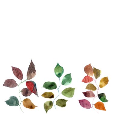 Çizim sınır kalkıyor. Sulu boya renkli yaprakları. Sonbahar yaprak tasarımı. Yaprak çizim ile çerçeve.