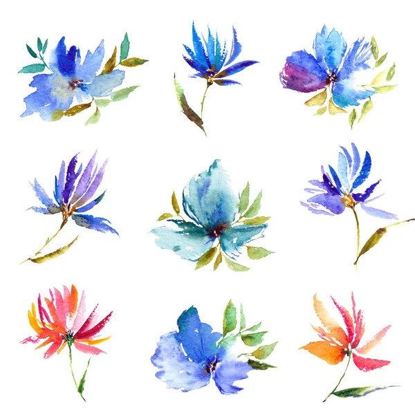 Ensemble Floral Aquarelle Pour Décoration Aquarelle Fleurs Bleues Eléments Décoratifs — Photo