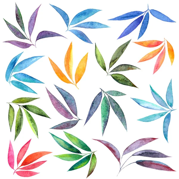 Watercolor Floral Set Decoration Floral Decorative Elements Drawing Leaves Seamless — Stock Photo, Image