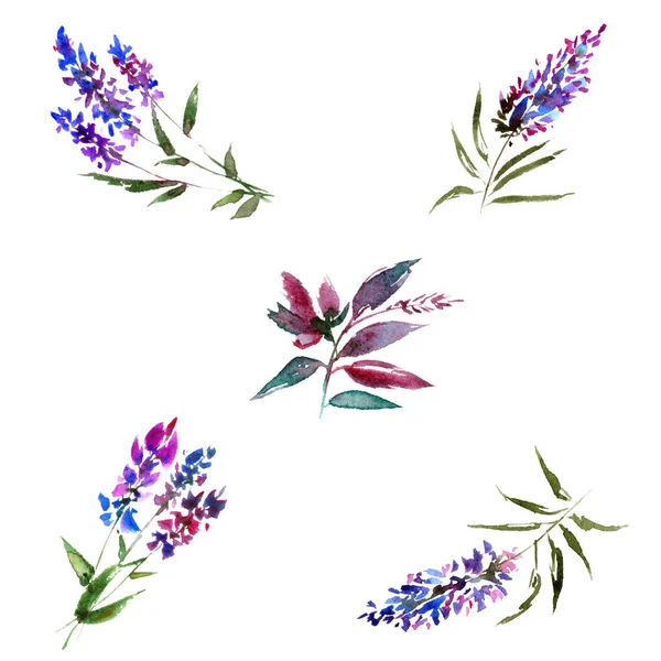 Suluboya mavi çiçekler. Floral tebrik kartı dekorasyonu için ayarlayın. Çizim çiçek. Romantik çiçek ayarlayın. Çiçek dekoratif öğeler. Lavanta çiçekleri.