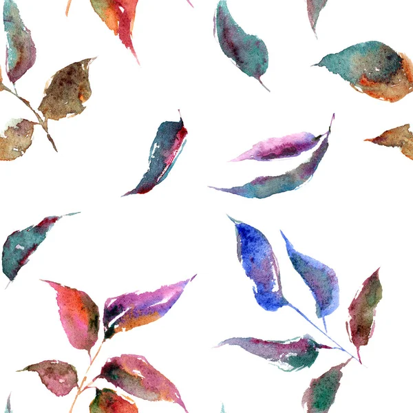 画树叶装饰 水彩五颜六色的叶子 秋天叶子分支 — 图库照片