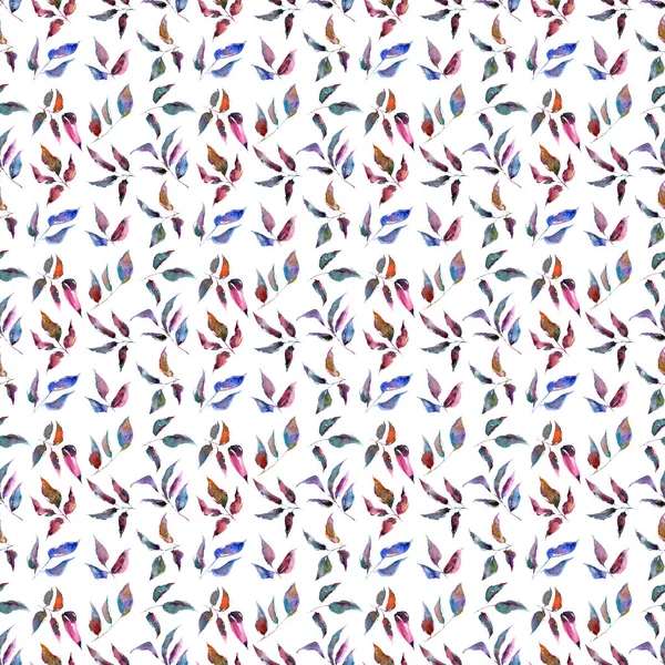 Wzór Liści Rysunek Liści Jesienne Liście Tło Jesienią Kolorowe Ściany — Zdjęcie stockowe